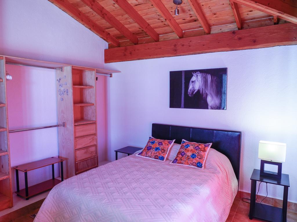 Little Nest En Rancho El Rossinyol Guest House Valle de Guadalupe Eksteriør bilde
