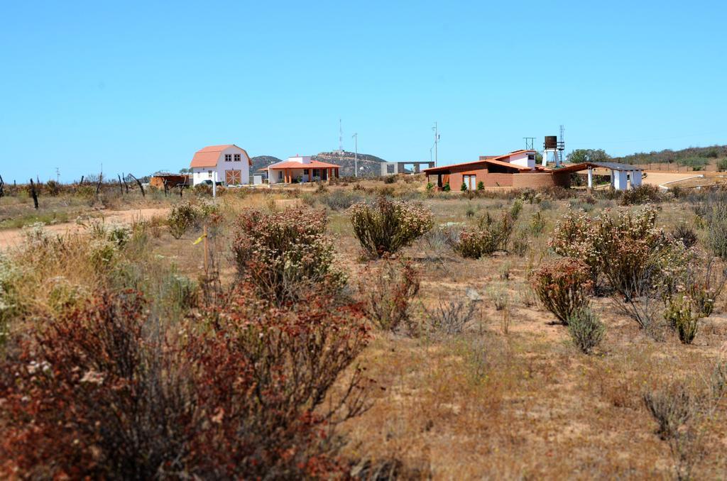 Little Nest En Rancho El Rossinyol Guest House Valle de Guadalupe Eksteriør bilde